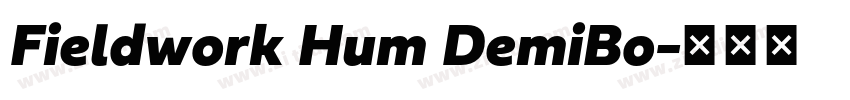 Fieldwork Hum DemiBo字体转换